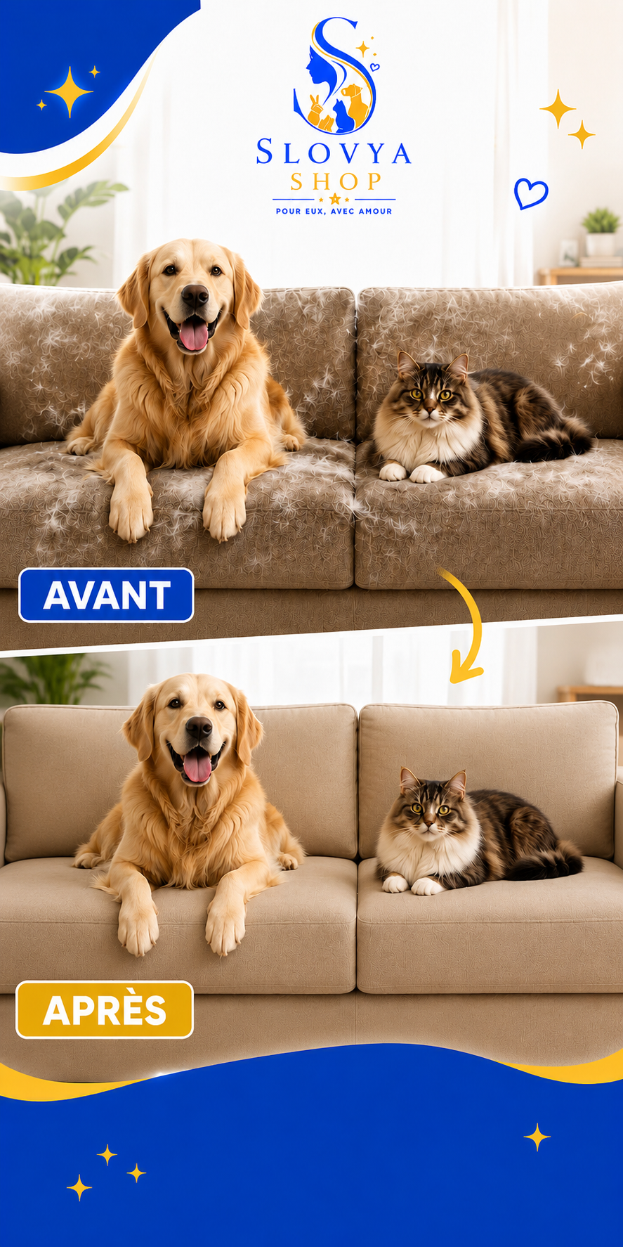 Bannière